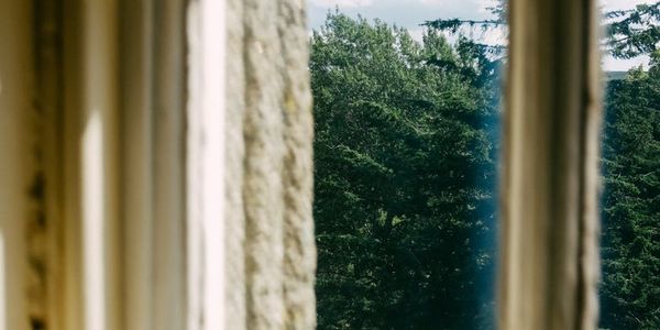 Blurred view of a green forest through a clean window.