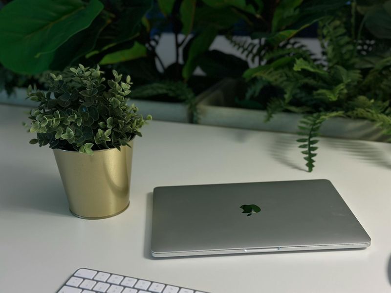 Clean minimalist workspace with a green plant and soft light.