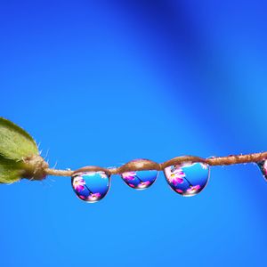 Macro shot of a clear water drop on a leaf.